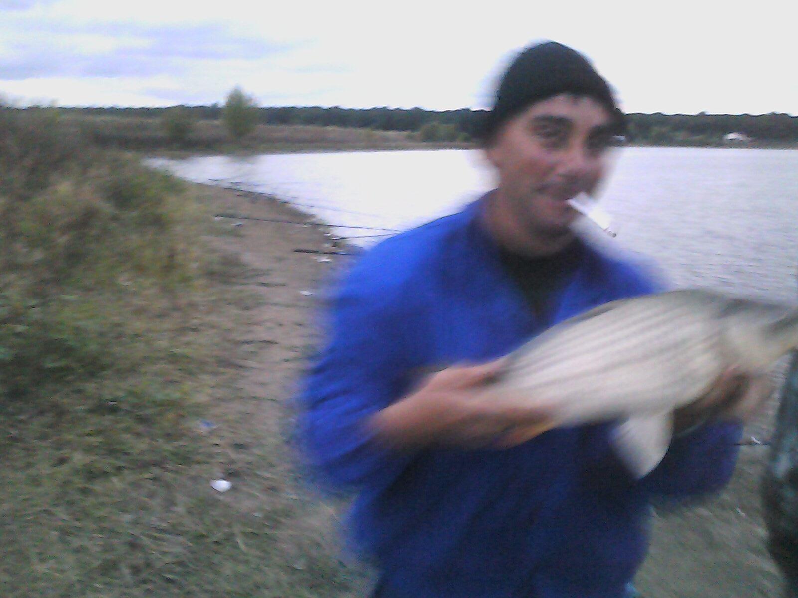 Crevedia - 130922-1917.jpg